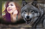 Wolf Photo Frames screenshot 3