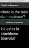 English to Esperanto Translator screenshot 2