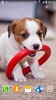 Cute Animals Live Wallpaper screenshot 8