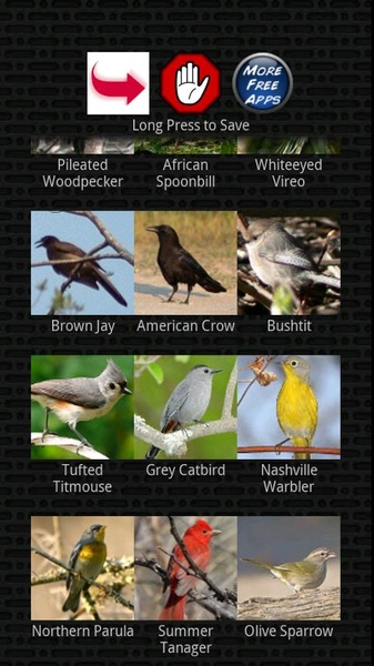Classic Bird Calls - Preview 3