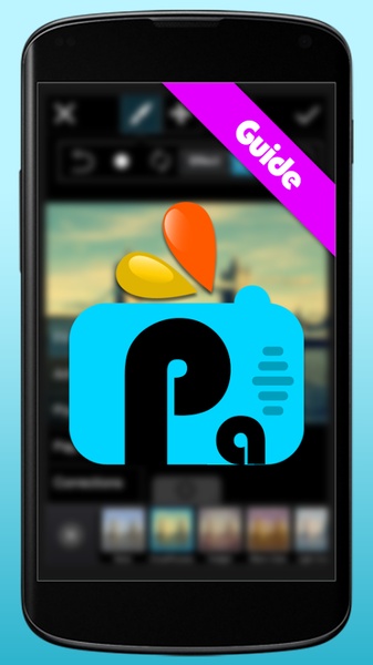 Guide for Picasrt - Preview 2