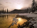 Free 45 Best Nature HD Wallpaper Pack screenshot 3