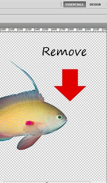 Photo Change Background - Preview 3