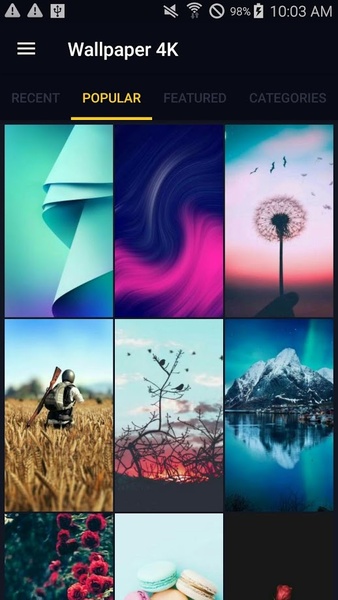 Wallpaper 4K- Background Ultra High Definition - Preview 1