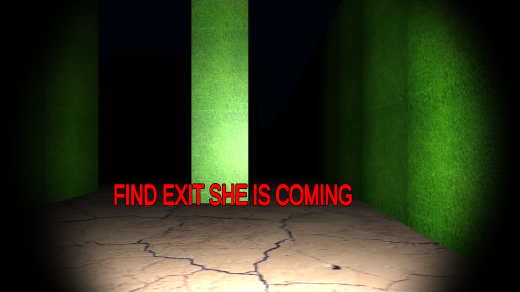 HORROR MAZE - Preview 2