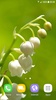 Lily of The Valley Wallpaper screenshot 6