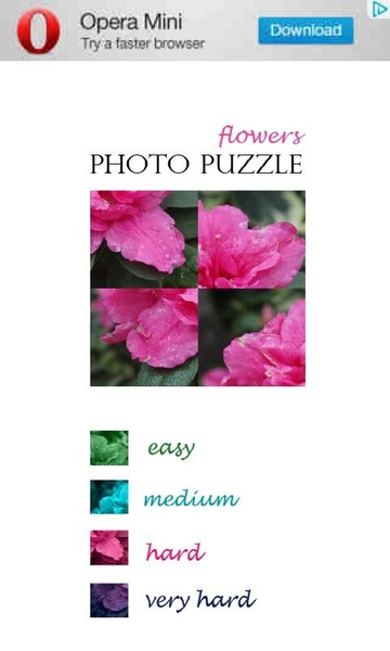 PhotoPuzzle - Flowers free - Preview 6