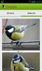Die Vogel App! screenshot 10