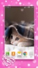 Cute Kittens Live Wallpaper screenshot 4