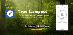 Immagine in evidenza di True Compass