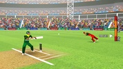 Indian Premier :Cricket Games screenshot 4
