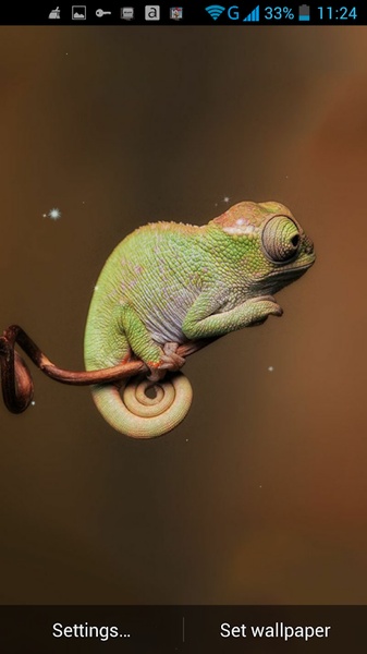 Chameleon Live Wallpaper - Preview 3