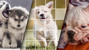 Lovely Puppy Puzzle Kit & Wallpapers screenshot 1