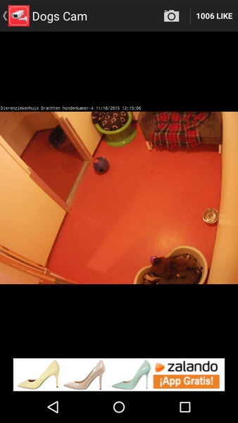 Live Camera Viewer for IP Cams - Preview 2