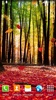 Herbst-Blatt-Herbst Live Wallpaper screenshot 7