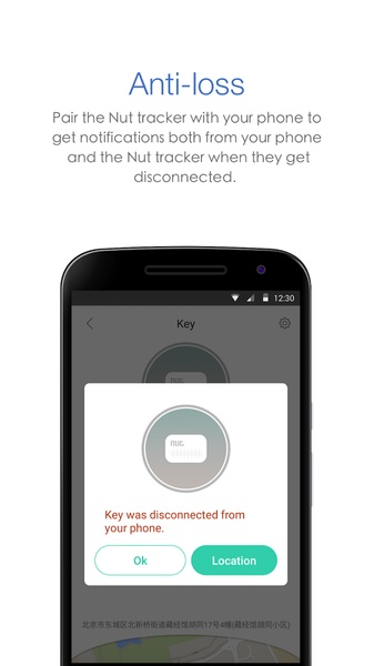 Nut - Preview 4