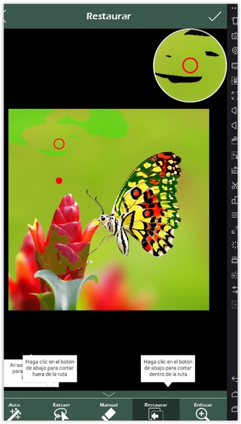 Auto Background Changer - Preview 5