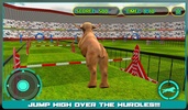 Dog Stunt Show Simulator 3D screenshot 4