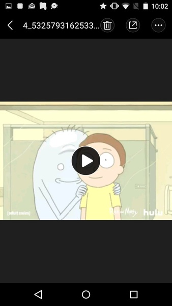 Video File - Preview 4