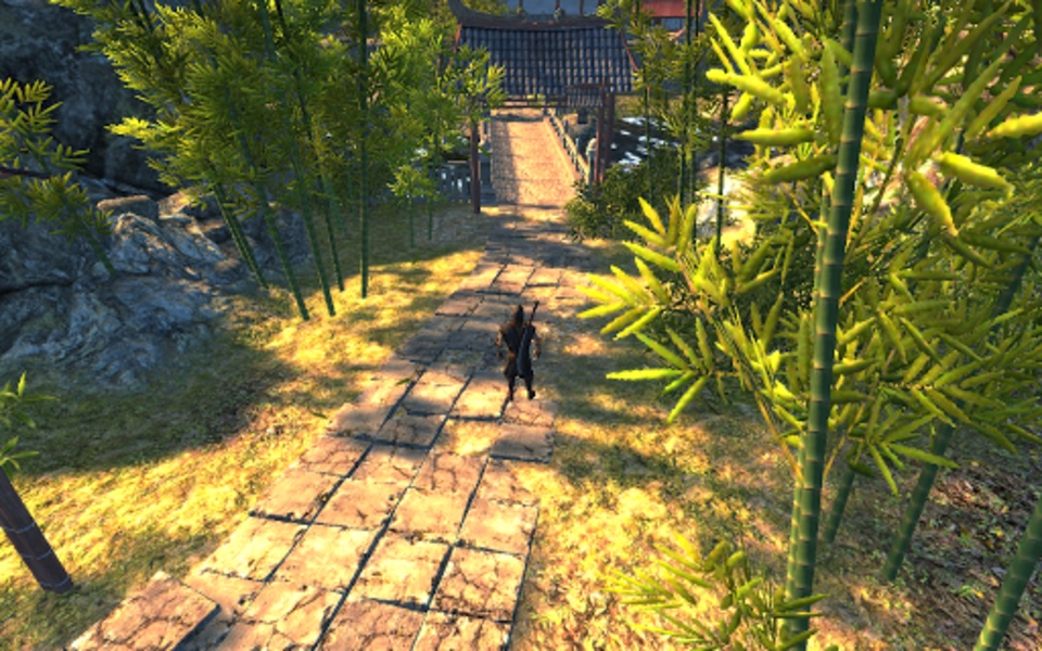 Ninja Combat - Preview 1