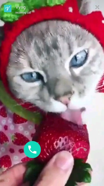 Vyng (Old) - Preview 4