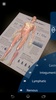 Anatomy 4D screenshot 5