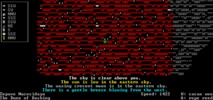 Dwarf Fortress screenshot 4