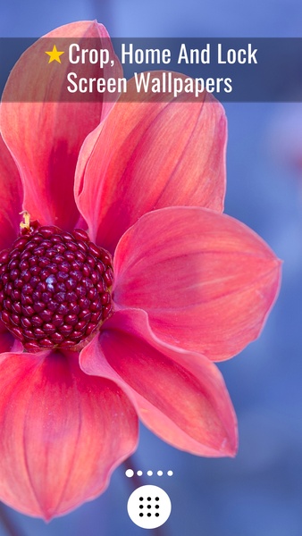 Flowers HD Wallpapers - Preview 6