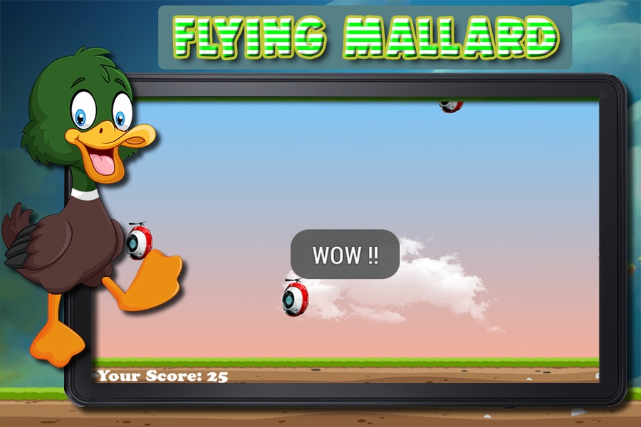 Flying Mallard - Preview 4
