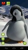 Talking Pepe Penguin screenshot 4