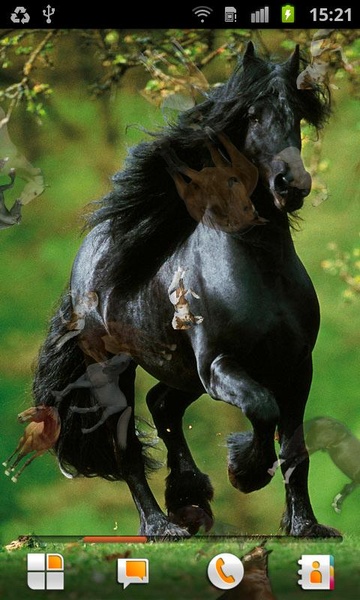Horse Pictures Live Wallpaper - Preview 4