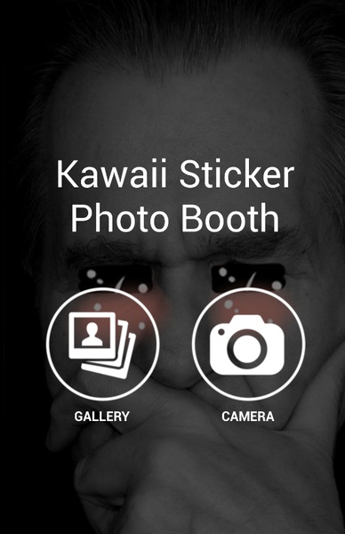 Kawaii Sticker Photo Booth - Preview 3