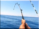Fish Fishing ! screenshot 3