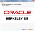 Oracle Berkeley DB screenshot 1