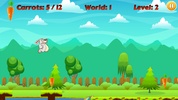 Bunny Run screenshot 4