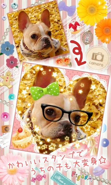 DECO PURI - Preview 3