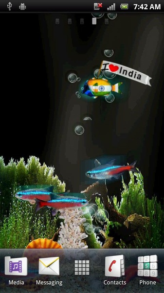 Neon Fish - Preview 3