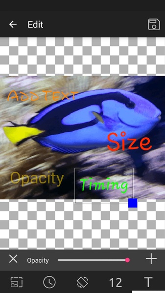 GIF Studio - Preview 12