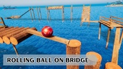Extreme 3D Ball Balance Challenge screenshot 6