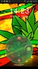 GO Locker Theme marijuana screenshot 6