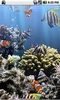 The real aquarium - LWP screenshot 3