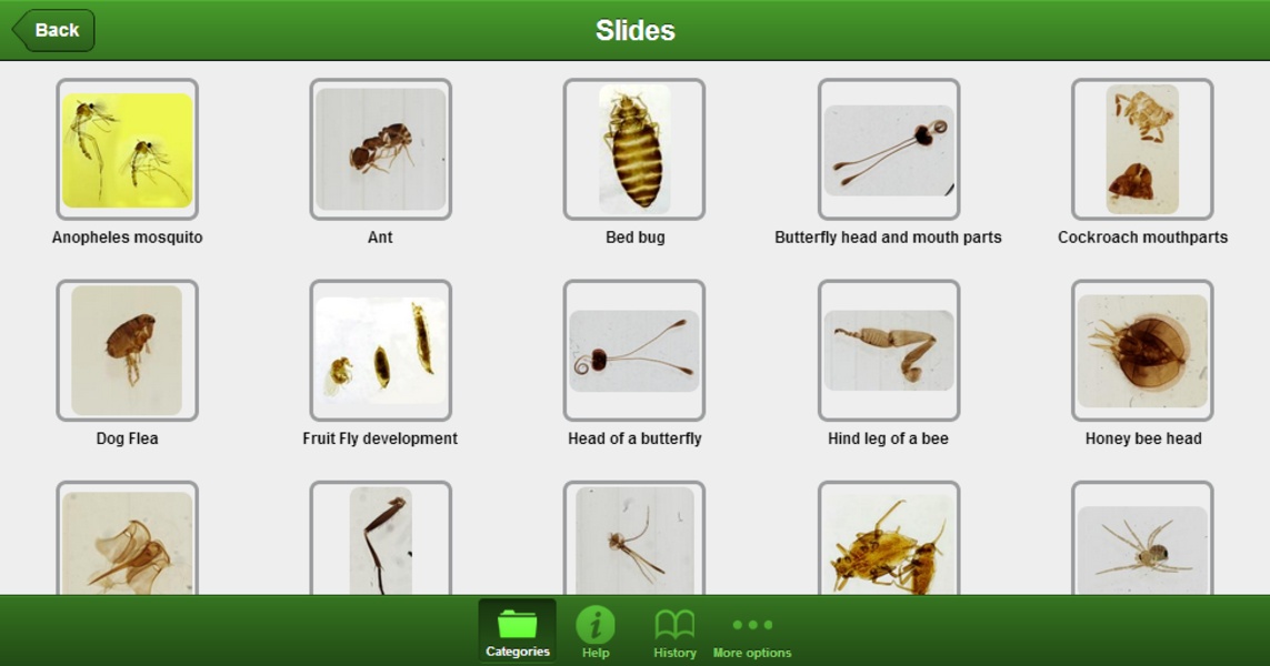 smart Microscope Lite - Preview 5