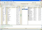 FireFTP screenshot 2