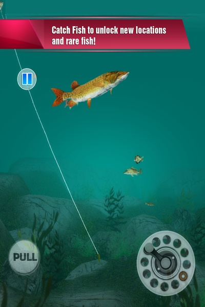 Rapala Fishing - Daily Catch Apk Download for Android- Latest