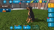 Animal Shelter Simulator screenshot 4