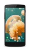 Jellyfish Video Live Wallpaper screenshot 6