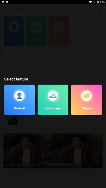 Auto Blur - Preview 10