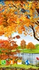 Autumn Pond Live Wallpaper screenshot 5