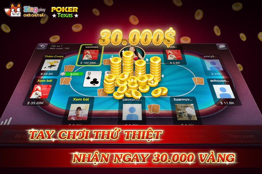 Poker Texas - Preview 11