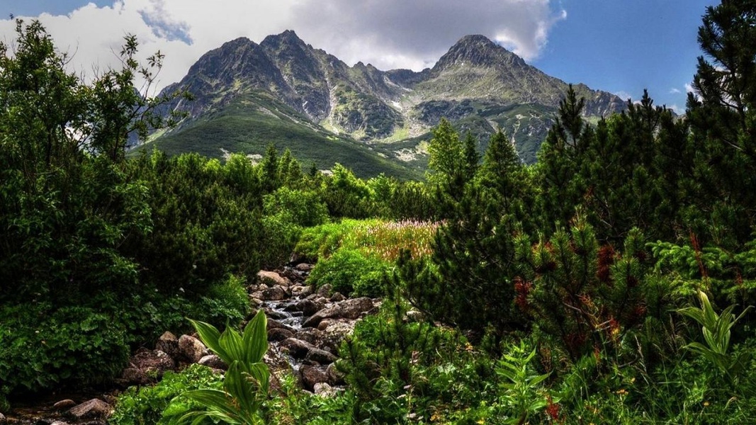 Landscape Live Wallpaper - Preview 6